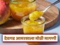 देवगडचा आमरस जगात भारी; यंदा २५ हजार टन हापूस आंबा कॅनिंगसाठी गेला - Marathi News | Devgad's mango is the most popular in the world; 25 thousand tons of Hapus mangoes are being canned this year | Latest agriculture News at Lokmat.com