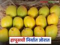 Hapus Mango Export : अवघ्या १७ दिवसांत राज्यातून ८३१ टन हापूस आंब्याची निर्यात - Marathi News | Hapus Mango Export : 831 tonnes of Hapus mango exported from the state in just 17 days | Latest agriculture News at Lokmat.com