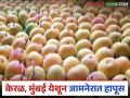 केरळ, मुंबई येथून जामनेरात हापूस दाखल; वाचा काय आहे दर - Marathi News | Hapus arrives in Jamner from Kerala, Mumbai; Read what is the rate | Latest agriculture News at Lokmat.com