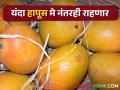 आत्तापर्यंत विकला गेलाय इतका आंबा; गुढीपाडव्यानंतर विक्रमी आवक होण्याची शक्यता - Marathi News | Mangoes sold so far; Chances of record arrivals after Gudhipadva | Latest agriculture News at Lokmat.com