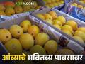 Mango Market पहिल्या टप्प्यातील हापूस आंबा संपतोय; दुसऱ्या टप्पा २० मेपासून सुरू होणार - Marathi News | Hapus mangoes of the first phase are running out; The second phase will start from May 20 | Latest agriculture News at Lokmat.com