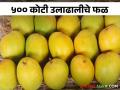 यंदा सात महिने सुरु असलेला आंबा हंगाम संपुष्टात.. आवक किती झाली - Marathi News | This year, the seven-month long mango season ends How much was the arrival in market? | Latest agriculture News at Lokmat.com