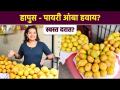हापूस आंबा स्वस्त दरात कुठे मिळेल? | Devgad Alphonso Mango Collection | Devgad Mango Shopping | AI2 - Marathi News | Where to get Hapus mangoes at cheap prices? | Devgad Alphonso Mango Collection | Devgad Mango Shopping | AI2 | Latest sakhi Videos at Lokmat.com