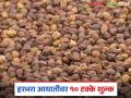 Harbhara Import : हरभऱ्यावर 10 टक्के आयात शुल्क, 01 एप्रिलपासून अंमलबजावणी, वाचा सविस्तर  - Marathi News | Latest News harbhara market 10 percent import duty on gram, implementation from April 1, read in detail | Latest agriculture News at Lokmat.com