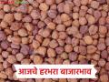 Harbhara Bajarbhav : हरभऱ्याची २७ हजार क्विंटल आवक; दर वाढले की घसरले? जाणून घ्या - Marathi News | latest news Harbhara Bajarbhav: 27 thousand quintals of gram arrived; Did the price increase or decrease? Find out | Latest agriculture News at Lokmat.com