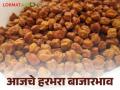 Harbhara Bajar Bhav : लोकल जातीच्या हरभऱ्याची आवक वाढतेय; कसा मिळतोय दर ते वाचा सविस्तर - Marathi News | Harbhara Bazaar Bhav: The arrival of local variety of Harbhara is increasing; Read in detail how the price is being obtained | Latest agriculture News at Lokmat.com