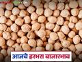 Harbhara Bajarbhav : हरभऱ्याला कुठे मिळाला ७ हजारांचा दर? आजचे बाजारभाव पाहा - Marathi News | latest news Harbhara Bajarbhav: Where did you get the price of 7 thousand for Harbhara? See today's market price | Latest agriculture News at Lokmat.com