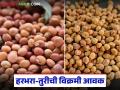 Tur harbhara Market : अमळनेर मार्केटला हरभरा-तुरीची विक्रमी आवक, क्विंटलमागे दर कसा मिळतोय?  - Marathi News | Latest news Record arrival of gram and gram flour in Amalner market, how is market prices | Latest agriculture News at Lokmat.com