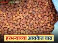 Harbhara Market : हरभऱ्याची आवकेत तिप्पटीने वाढ; कसा मिळतोय दर ते वाचा सविस्तर - Marathi News | Harbhara Market: latest news Threefold increase in the arrival of Harbhara; Read in detail how the price is being obtained | Latest agriculture News at Lokmat.com