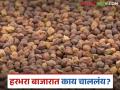 Harbhara Market : जळगाव बाजारात लाल हरभरा तेजीत, कसा मिळतोय दर, वाचा सविस्तर  - Marathi News | Latest News Red gram is increasing in Jalgaon market, how market price, read in detail | Latest agriculture News at Lokmat.com