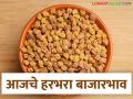 Harbhara Bajar Bhav: हरभऱ्याची आवक कोणत्या बाजारात सर्वाधिक; जाणून घ्या सविस्तर - Marathi News | Harbhara Bazaar Bhav: latest news Which market has the highest arrival of Harbhara; Know in detail | Latest agriculture News at Lokmat.com