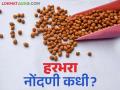 Harbhara Market : हरभऱ्याला हमीभावाचे सरंक्षण केव्हा? वाचा सविस्तर - Marathi News | Harbhara Market: When is Harbhara guaranteed? read in details | Latest agriculture News at Lokmat.com