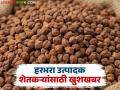 केंद्र सरकारने हरभरा खरेदीचा कालावधी वाढवला; आता किती तारखेपर्यंत सुरु राहणार खरेदी? - Marathi News | The central government has extended the period for gram procurement; till when will the procurement continue? | Latest agriculture News at Lokmat.com