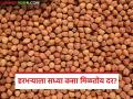 Harbhara Market : हरभरा विकला तर तोटा, थांबलो तर संकट; शेतकरी द्विधा मनःस्थितीत वाचा सविस्तर - Marathi News | latest news Harbhara Market: If you sell gram, you will lose, if you stop, you will face a crisis; Farmers are in a dilemma Read in detail | Latest agriculture News at Lokmat.com
