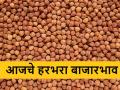 रविवारच्या दिवशी लाल हरभऱ्याची आवक, कुठे काय बाजारभाव मिळाला?  - Marathi News | Latest News Today's market price of gram crop in maharashtra | Latest agriculture News at Lokmat.com