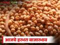 Harbhara Bajarbhav : हरभऱ्याच्या आवकेत बदल; 'या' बाजारात दर झाले तेजीत वाचा सविस्तर - Marathi News | latest news Harbhara Bajarbhav: Change in arrival of Harbhara; Prices have increased in this market Read in detail | Latest agriculture News at Lokmat.com