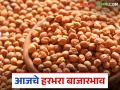 Harbhara Bajar Bhav: अकोला बाजारात हरभऱ्याची आवकेत वाढ; कसा मिळतोय दर ते वाचा सविस्तर - Marathi News | Harbhara Bazaar Bhav: Increase in arrival of gram in Akola market; Read in detail how the price is being obtained | Latest agriculture News at Lokmat.com