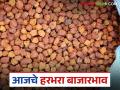 Harbhara Bajar Bhav: हरभऱ्याची आवकेत चढ-उतार; जाणून घ्या आजचे बाजारभाव - Marathi News | Harbhara Bazaar Bhav: latest news Fluctuations in the arrival of Harbhara; Know today's market price | Latest agriculture News at Lokmat.com
