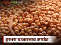 Harbhara Bajarbhav : काबुली हरभऱ्याची जोरदार मागणी; दर कुठे वाढले, कुठे घसरले? वाचा सविस्तर - Marathi News | latest news Harbhara Bajarbhav: Strong demand for Kabuli gram; Where did the prices increase, where did they decrease? Read in detail | Latest agriculture News at Lokmat.com