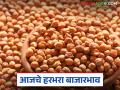 Harbhara Bajar Bhav: जंबु जातीच्या हरभऱ्याला मिळतोय चांगला दर वाचा सविस्तर - Marathi News | Harbhara Bazaar Bhav: latest news Jambu variety Harbhara is getting good price Read in detail | Latest agriculture News at Lokmat.com