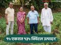 Harbhara Farming : कष्टाचं झालं सोनं ! 15 एकरात पेरला हरभरा, 135 क्विंटल उत्पादनाचा विक्रम, वाचा सविस्तर  - Marathi News | Latest News harbhara farming Gram sown in 15 acres, record production of 135 quintals, read in detail | Latest agriculture News at Lokmat.com