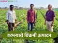 आधुनिक तंत्रज्ञानाने हरभरा शेती, दोन एकरांत 17 किलो बियाणे पेरले, हेक्टरी 40 क्विंटल उत्पादन आले! - Marathi News | Gram farming with modern technology, 17 kg of seeds were sown in two acres, yield was 40 quintals per hectare! | Latest agriculture News at Lokmat.com