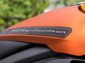 Harley-Davidsonची इलेक्ट्रिक बाईक आली; स्पीड अन् किंमत 'लई भारी' - Marathi News | Harley-Davidson's electric bike LiveWire unveiled in india | Latest auto News at Lokmat.com