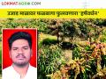 आंबा लागवडीचा इस्रायली पॅटर्न देईल एकरी ८ लाखाचे उत्पन्न - Marathi News | The Israeli pattern of mango cultivation will yield an income of 8 lakh per acre | Latest agriculture News at Lokmat.com