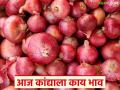 Kanda Market : पुणे, सोलापूरमध्ये वाढले, नाशिकमध्ये घसरले, वाचा 11 नोव्हेंबरचे कांदा मार्केट - Marathi News | Latest News Kanda Market Increased in Pune, Solapur, decreased in Nashik, read November 11 onion market | Latest agriculture News at Lokmat.com