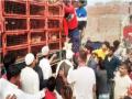 Jara Hatke: मतदारांना वाटल्या ट्रकभर कोंबड्या, उडाली झुंबड! - Marathi News | Jara Hatke: Truckloads of chickens were given to the voters. | Latest jarahatke News at Lokmat.com