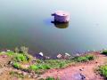 मलकापूर : हतनूर धरणाचा जलसाठा ६0 टक्क्यांवर! - Marathi News | Malkapur: 60% of the storage capacity of Hatanur dam! | Latest buldhana News at Lokmat.com