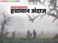 Maharashtra Weather Update : पुढील आठवड्यात थंडी, धुके अन् पाऊसही, पिकांवर काय परिणाम? वाचा सविस्तर  - Marathi News | Latest News Maharashtra Weather Update Cold, fog and rain next week, what will be impact on crops Read in detail | Latest agriculture News at Lokmat.com