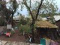 तिघांमध्ये वाद, चर्चेनंतर पुन्हा एकत्र; पार्टीही झाली, त्यानंतर जे झालं, त्यानं पूर्ण शिर्डी हादरली! - Marathi News | Ajay Jagtap was murdered by two friends In Shirdi | Latest crime News at Lokmat.com