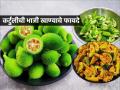 Ranbhajya :पावसाळ्यात फक्त ४ महिने मिळणारी करटोली श्रावणात तर खायलाच हवी, अस्सल चव-पाहा रेसिपी - Marathi News | health benefits of eating ranbhaji kartoli or kantorli, how to make kartuli, recipe of making kartoli vegetable | Latest sakhi News at Lokmat.com