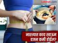 लठ्ठपणा कमी करण्यासाठी सकाळी नाश्त्यात काय खावे? जाणून घ्या ९ बेस्ट पर्याय! - Marathi News | Best and healthy breakfast foods for weight loss | Latest health Photos at Lokmat.com