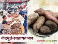 फास्टफूडच्या जमान्यातही दिवाळीच्या तोंडावर आरोग्यदायी कंदमुळांना मोठी मागणी - Marathi News | Even in the era of fast food, there is a huge demand for healthy tuber roots on the eve of Diwali | Latest agriculture News at Lokmat.com