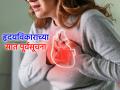 Health Tips: हृदय विकाराच्या 'या' सात सूक्ष्म संकेतांकडे दुर्लक्ष करू नका, वेळीच करा उपाय! - Marathi News | Health Tips: Don't ignore these seven subtle signs of heart disease, take action on time! | Latest sakhi News at Lokmat.com
