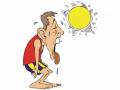बुलडाणा जिल्ह्यात दीड महिन्यात १७ जणांना उष्माघाताचा फटका - Marathi News | heat stroke 17 people in buldana district | Latest buldhana News at Lokmat.com