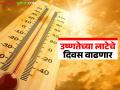 हवामान बदलामुळे उष्णतेची लाट आता ५० दिवस वाढण्याची शक्यता; वैज्ञानिकांनी काय दिलाय इशारा? - Marathi News | Heat waves are likely to increase for 50 days due to climate change; What have scientists warned? | Latest agriculture News at Lokmat.com
