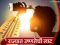 अजून किती दिवस उष्णतेची लाट; वाचा भारतीय हवामान खात्याने काय दिला आहे अंदाज? - Marathi News | How many more days will the heat wave last; Read what the Indian Meteorological Department has predicted? | Latest agriculture News at Lokmat.com