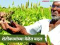 Heat Wave Impact : उष्णतेचा शेतीवर मोठा परिणाम; शेतकऱ्यांची वेळच बदलली! - Marathi News | latest news Heat Wave Impact: Heat has a big impact on agriculture; Farmers' time has changed! | Latest agriculture News at Lokmat.com