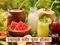 Heatwave Health Tips : उन्हामुळे शरीर ‘ड्राय’ होतंय? काय खावे-टाळावे? वाचा तज्ज्ञांचा सल्ला - Marathi News | latest news Heatwave Health Tips: Is the body 'dry' due to the sun? What to eat and avoid? Read expert advice | Latest agriculture News at Lokmat.com