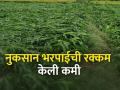 हेक्टरी मदतीचे क्षेत्र वाढविले - Marathi News | | Latest agriculture News at Lokmat.com