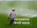 Herbicide prices: यंदाच्या खरिपात तणनाशकांच्या किंमती वाढल्या, उत्पादन खर्चही वाढणार - Marathi News | herbicide prices are increased in this kharif season | Latest agriculture News at Lokmat.com