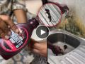 Video - Hershey’s च्या चॉकलेट सिरपमध्ये सापडला मेलेला उंदीर; कंपनीने दिला रिप्लाय, म्हणाली... - Marathi News | video dead mouse found inside hersheys chocolate syrup bottle company replies on social media post | Latest social-viral News at Lokmat.com