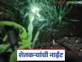 Agriculture News : पिकांना पाणी देण्यासाठी शेतकरी नाइट ड्युटीवर, लाईटअभावी जीवघेणी कसरत  - Marathi News | Latest News Agriculture News Farmers on night duty to water crops Power supply Down | Latest agriculture News at Lokmat.com