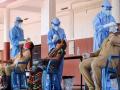 CoronaVirus: कोरोना चाचण्या करण्यात महाराष्ट्र राज्य आघाडीवर;देशात उत्तर प्रदेशमधील परिस्थिती सर्वात वाईट - Marathi News | CoronaVirus: Maharashtra leads in corona testing; The situation in Uttar Pradesh is the worst in the country | Latest national News at Lokmat.com