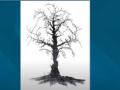 Optical illusion : या फोटोत लपले आहेत 10 चेहरे, तुम्हाला किती दिसले? फार कमी लोकांनी दिलंय बरोबर उत्तर.... - Marathi News | Optical illusion : How many faces you spotted in this picture? | Latest social-viral News at Lokmat.com