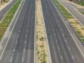 Nagpur-Ratnagiri Highway: महामार्ग कामात जाणारी बागायती शेती वाचणार, सरकार घेणार बैठक - Marathi News | Horticulture going into Nagpur Ratnagiri Highway work will be saved, government will hold a meeting | Latest kolhapur News at Lokmat.com