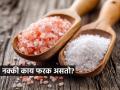 पांढरे मीठ चांगले की सैंधव? चिमूटभर गुलाबी मीठ भाजीत घालण्यापूर्वी ‘हे’ वाचा, पाहा दोन्ही मिठातला फरक - Marathi News | Is white salt better or rock salt? Before adding a pinch of pink salt to vegetables, read this, see the difference between | Latest sakhi News at Lokmat.com